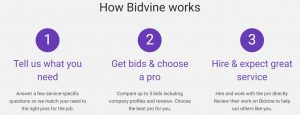 review of bidvine