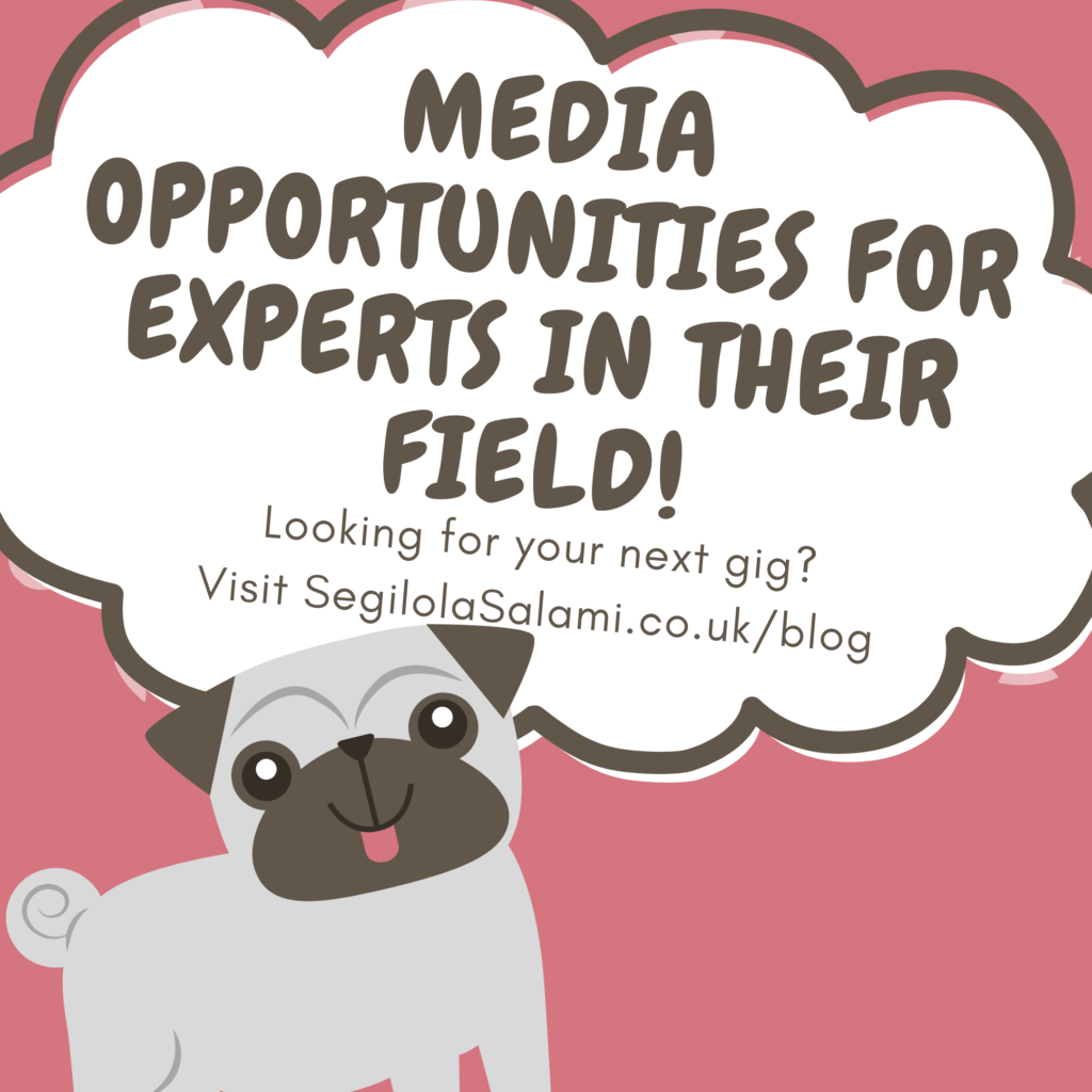 blog post image banner announcing media opportunities for experts in their field posted on segilola salami's lifestyle blog july 2021